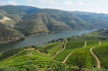 Esperienza enologica premium nella Valle del Douro